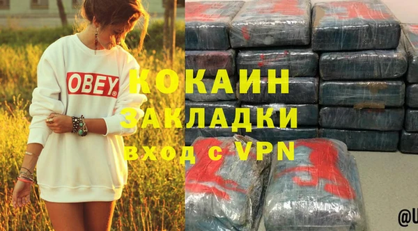 винт Богданович