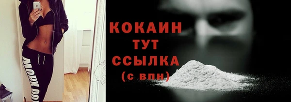 винт Богданович