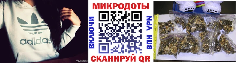 Псилоцибиновые грибы Magic Shrooms  Игра 